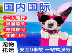 龙嘉机场物流国际宠物托运 【国