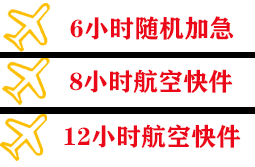 龙嘉机场物流快递公司,专业空运当天件